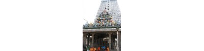 12.செல்வ கணபதி -தமிழ்நாடு